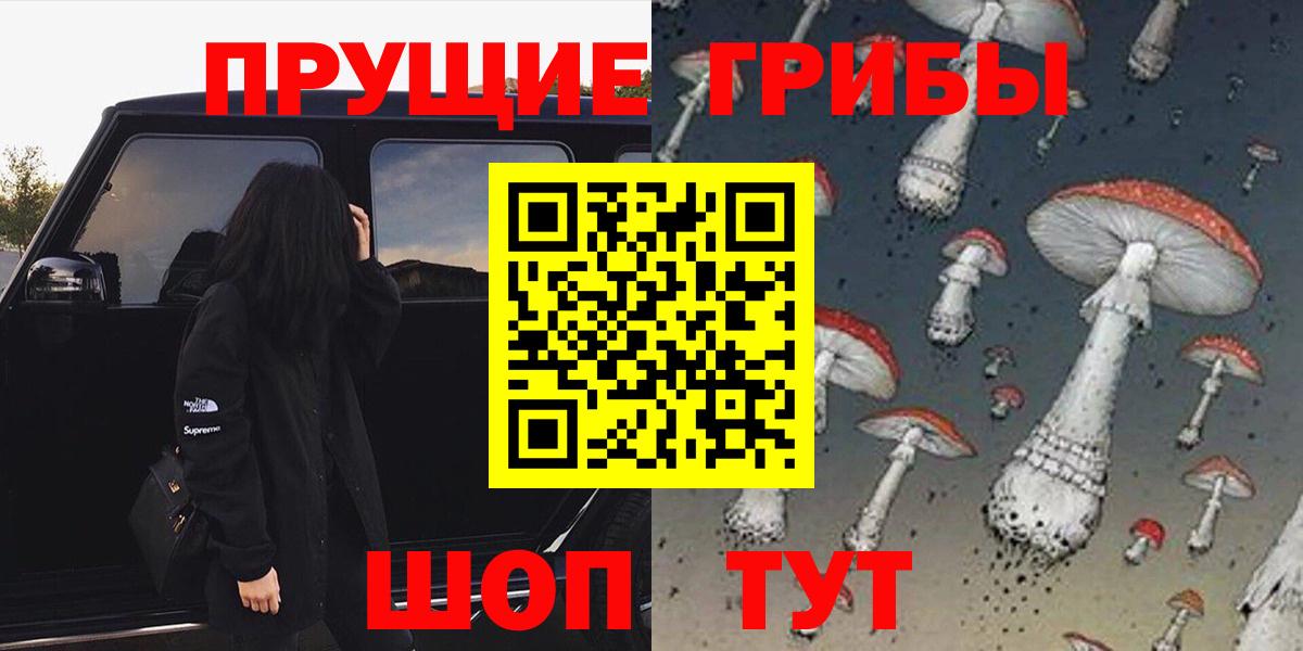 Псилоцибиновые грибы мицелий  даркнет сайт  Новодвинск  Вход с VPN  Галлюциногенные грибы мицелий 