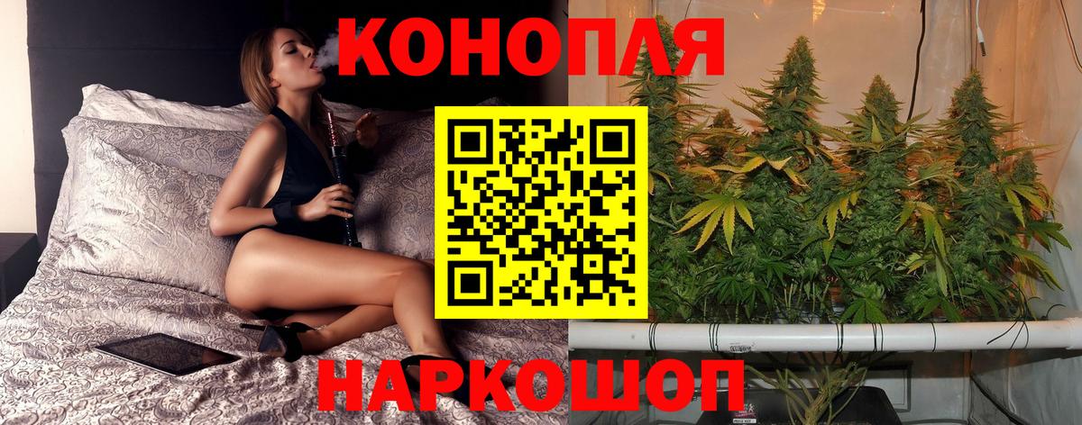 Новодвинск  Бошки марихуана тримм  Каннабис индика  Вход с VPN  Шишки марихуана конопля 